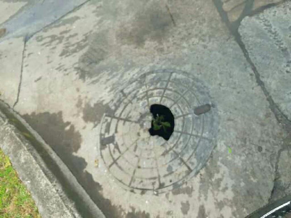...
